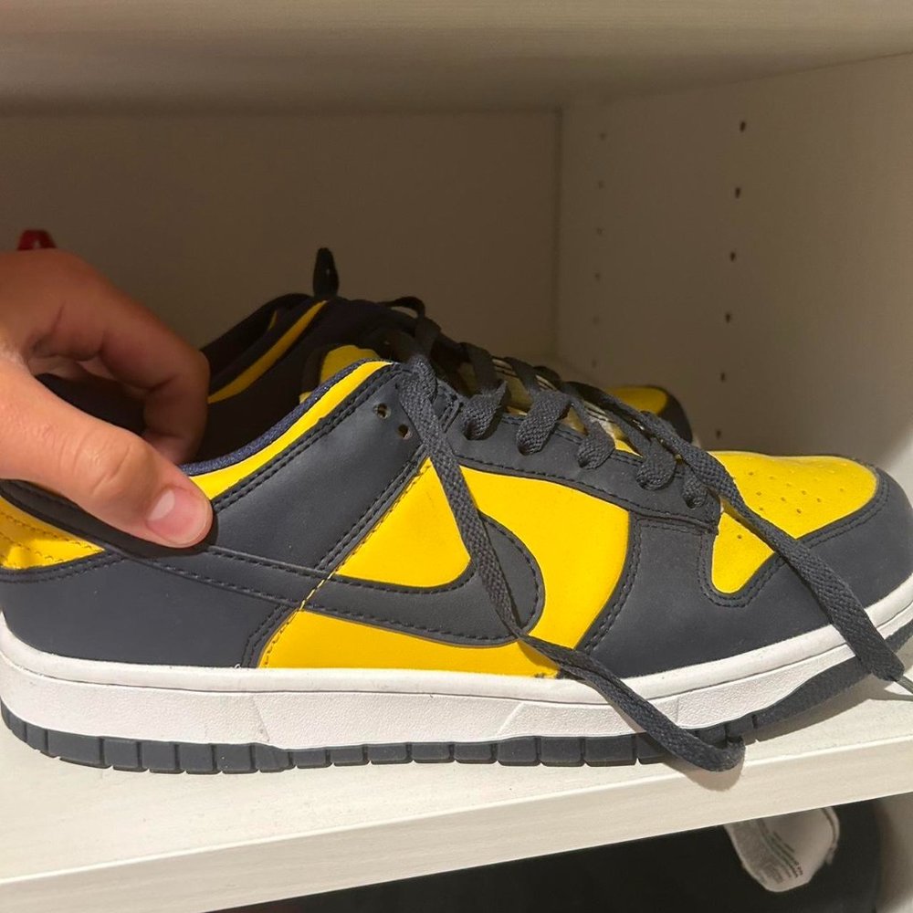 Michigan Nike Dunk Lows Size